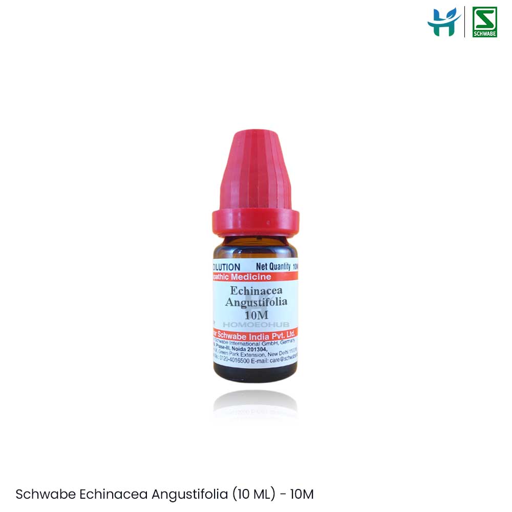 Schwabe Echinacea Angustifolia (10 ML)